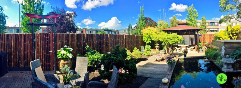 inspirace bambusový plot